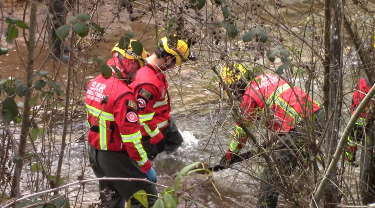 PDI investiga hallazgo de huesos humanos a orillas de un estero en Curepto