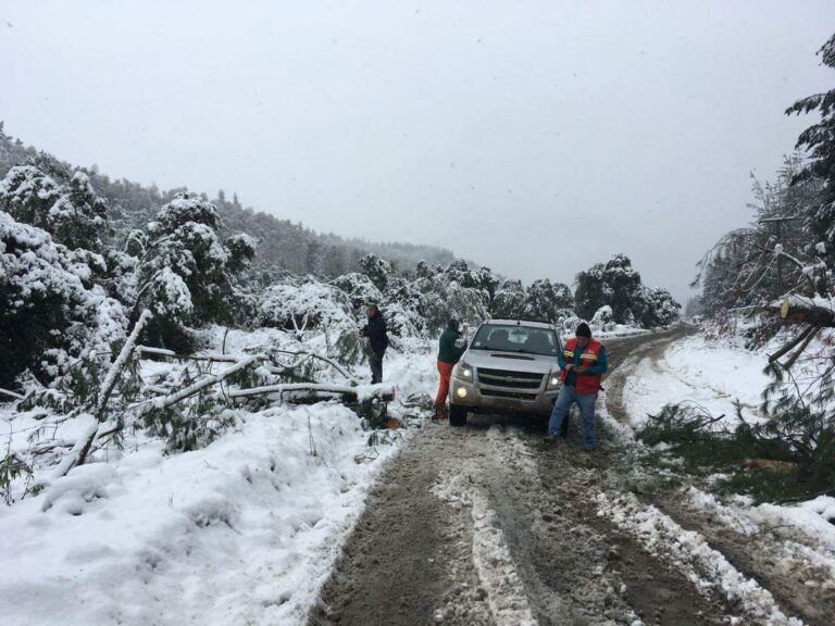 Emergencias de Romeral se activa frente a intensa lluvia y fuertes nevazones en la cordillera.