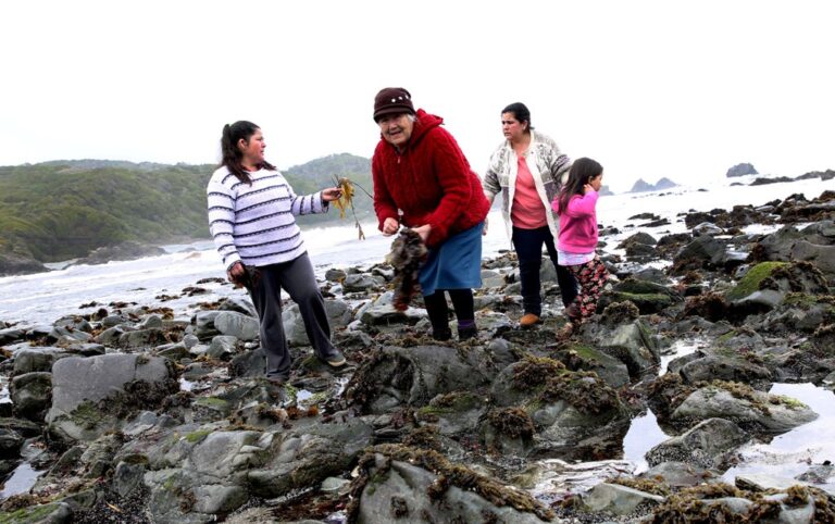 Seremi de la Mujer se reunió con pescadoras con el fin de impulsar la gastronomía y el turismo
