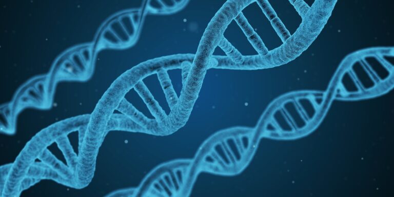 La investigación del cáncer nunca para (tampoco en la pandemia)