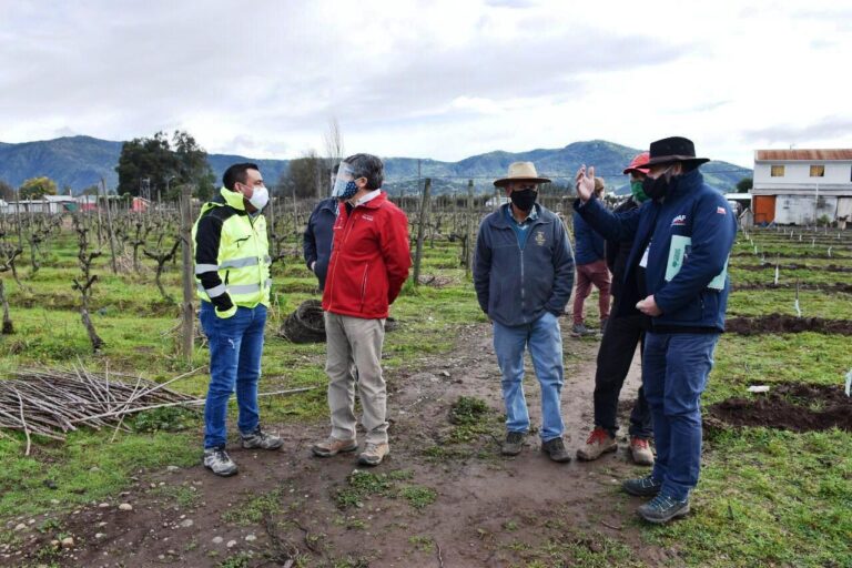 INDAP destacó utilización productiva de recursos en campos de Sagrada Familia