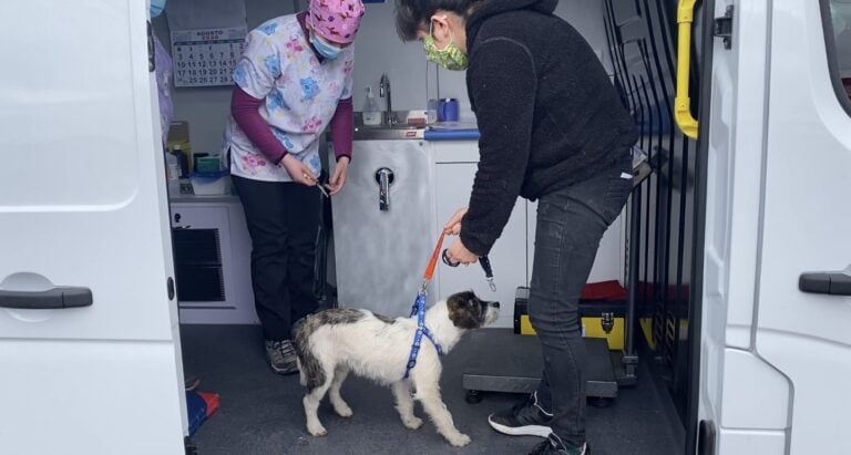 Municipalidad de Molina inició funcionamiento de Veterinaria Popular