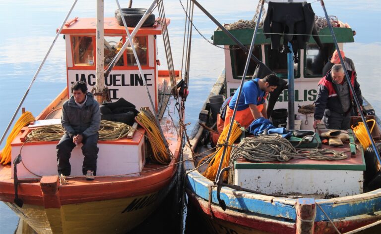 Pescadores de la Región del Maule podrán optar a fondo concursable de 400 millones de pesos