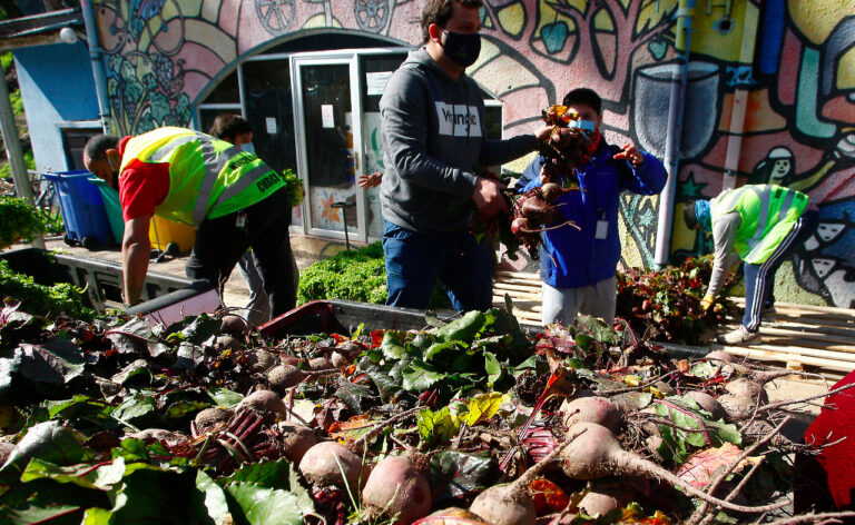 COPACHS realizó donación de frutas y verduras a