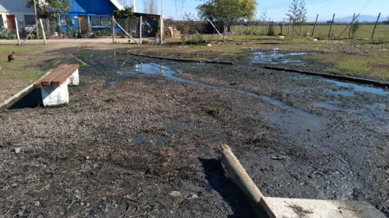Pobladores denuncian grave problema sanitario en Morza por colapso de planta de tratamiento