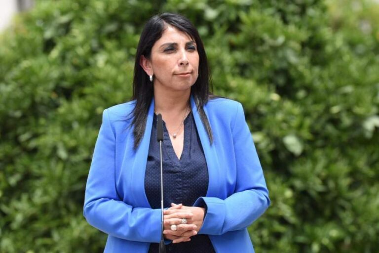 Ministra Rubilar indicó que analizan