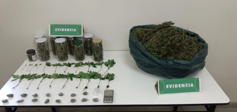 Carabineros detuvo a hombre en Morza por cultivo y venta de marihuana