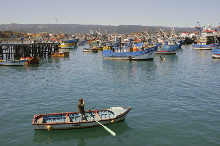 Gobierno recurrirá al Tribunal Constitucional para evitar anulación de la Ley de Pesca