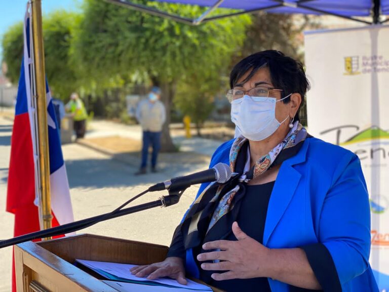 Concejo Municipal de Teno se opone a aprobación de planta procesadora de sangre animal