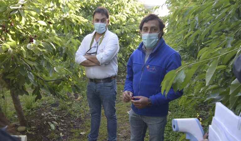 Alcalde de Romeral exige a la autoridad sanitaria para fiscalizar huertos agrícolas
