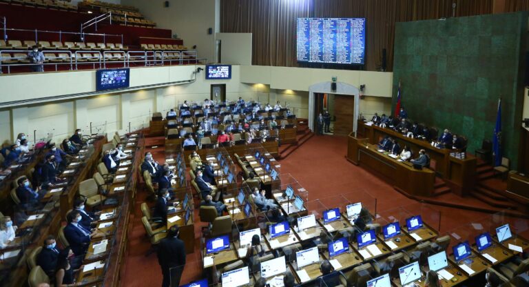 Nueva Constitución: Cámara de Diputados aprueba escaños reservados para pueblos originarios