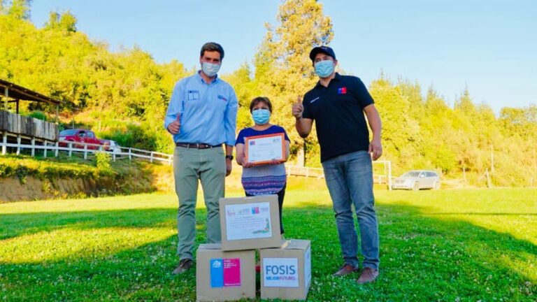 Fosis entregó cajas con alimentos a 3 mil 500 hogares de la Región del Maule en Navidad