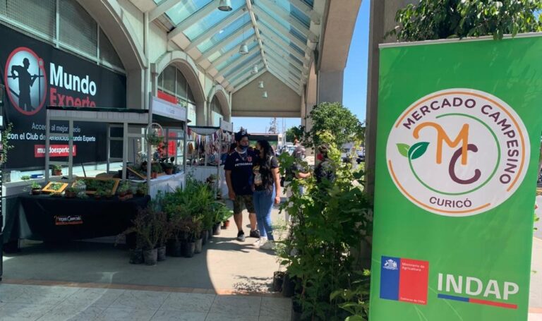El “Mercadito” de emprendedores estará por todo diciembre en Mall Curicó