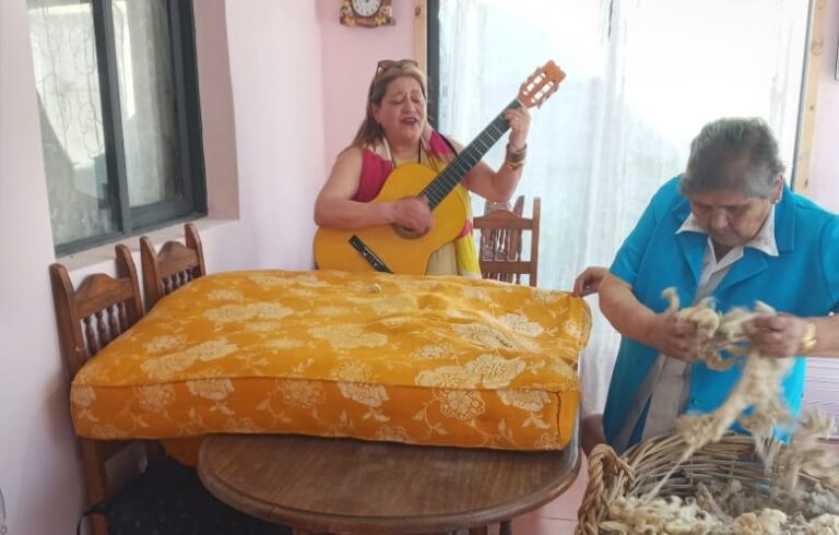 Corporación Cultural de Rauco finalizó Proyecto de Sostenibilidad 2020
