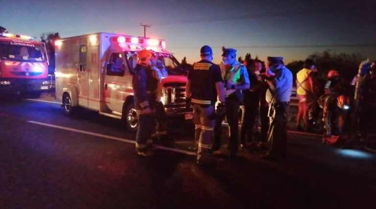 Oficial de Carabineros falleció tras colisionar con caballos en Longaví