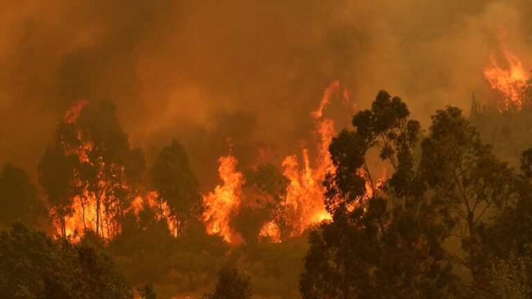 Fiscal especializado en incendios comunicó que el origen del fenómeno en Quilpué ya fue controlado