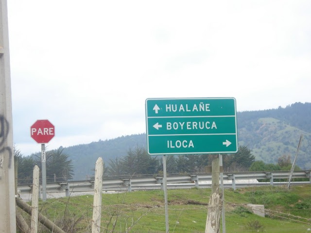 Municipio de Vichuquén tomará acciones judiciales por fiesta masiva en Boyeruca
