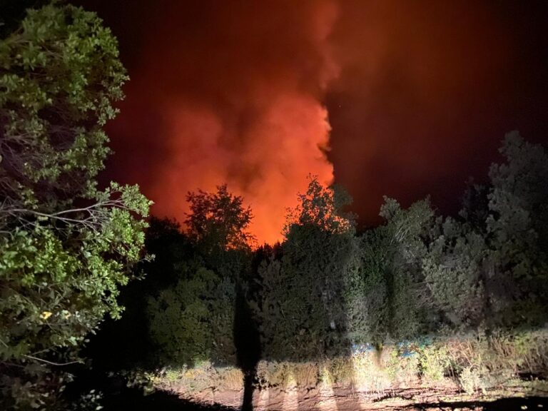 Unidades continúan trabajando para apagar incendio forestal en Molina