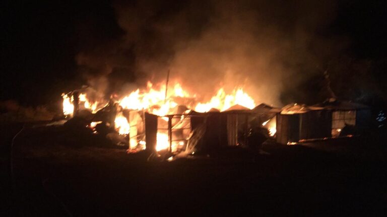 Incendio en sector “Puente Pancho 2” de Molina fue controlado tras consumir 13,2 hectáreas