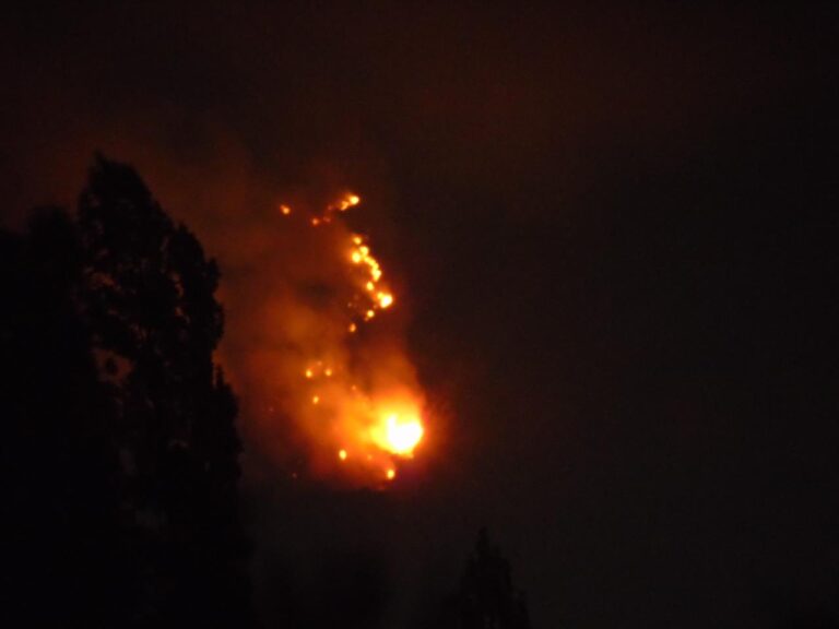 Incendio en Lomas de Huemul de Teno ha consumido más de mil hectáreas de bosque nativo