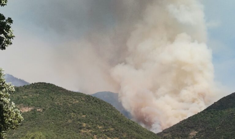 Incendio en Lomas de Huemul de Teno avanza tras consumir 1.300 hectáreas de bosque nativo
