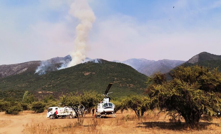 Incendio en Lomas de Huemul de Teno ha consumido casi dos mil hectáreas de bosque nativo