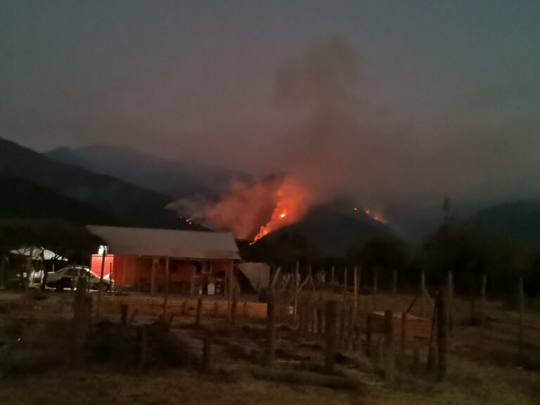 Dirigenta vecinal acusa intencionalidad en incendio forestal de Lomas de Huemul