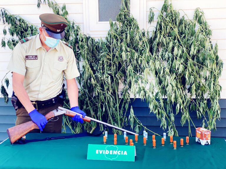 Carabineros de Molina detuvieron a hombre por amenazas a trabajadores agrícolas