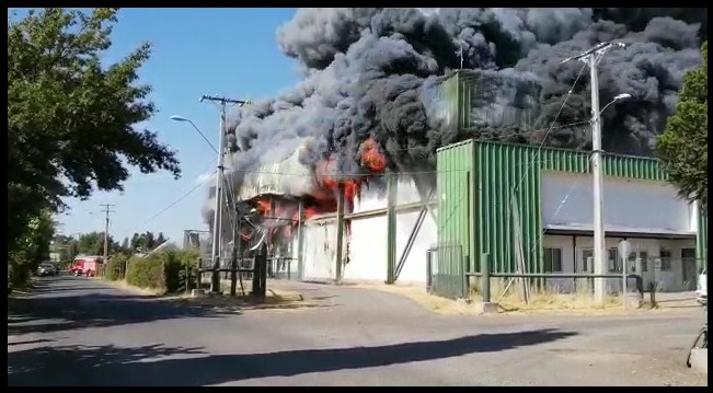 Incendio en cámaras de frío de empresa agrícola en Curicó dejó daños millonarios