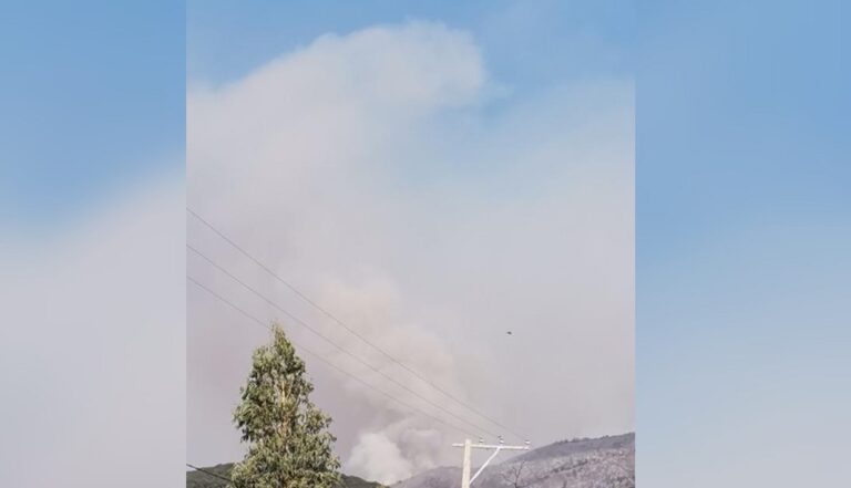 Autoridades declararon alerta amarilla comunal por incendio forestal en sector Huemul de Teno