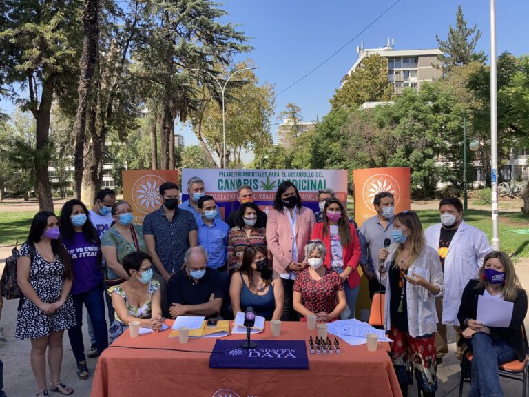 Parlamentarios y políticos exigen que se apruebe la Ley de Cultivo Seguro