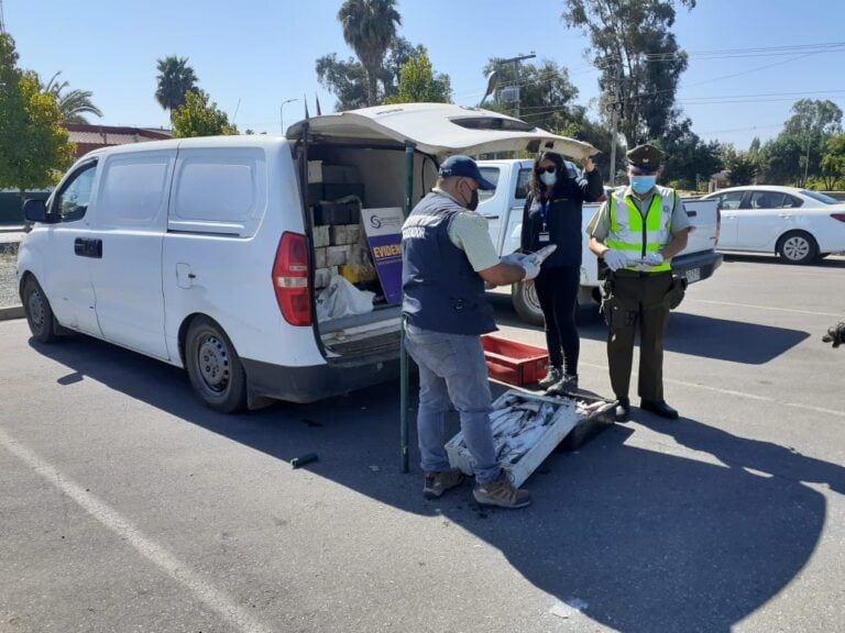 Operativo concluye con detección de 1.800 kilos de merluza común ilegal en Maule