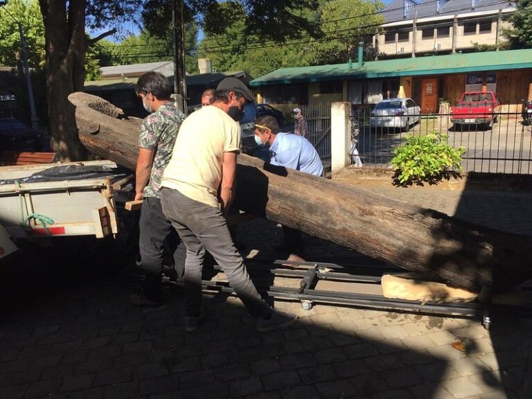CONAF realizó hallazgo de una embarcación mapuche sumergida