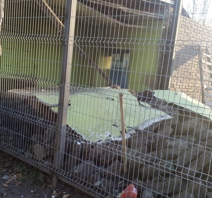 Caída de muro “sepultó” a trabajador curicano