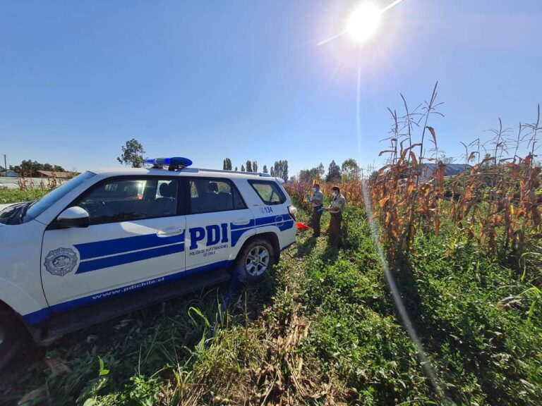 PDI de Curicó indaga muerte de hombre en predio agrícola de Sarmiento