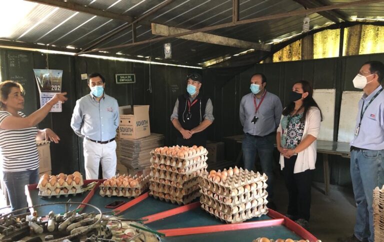 Alcalde de Romeral y directora del SAG se reunieron con vecinos por avistamientos de puma