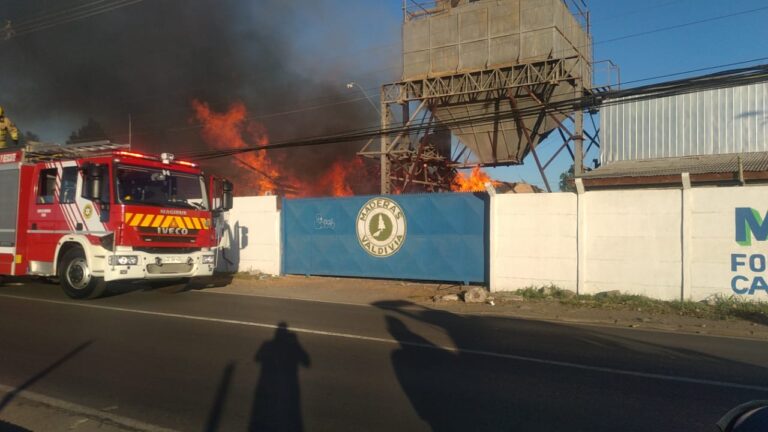 Incendio afectó instalaciones de empresa Maderas Valdivia en Curicó