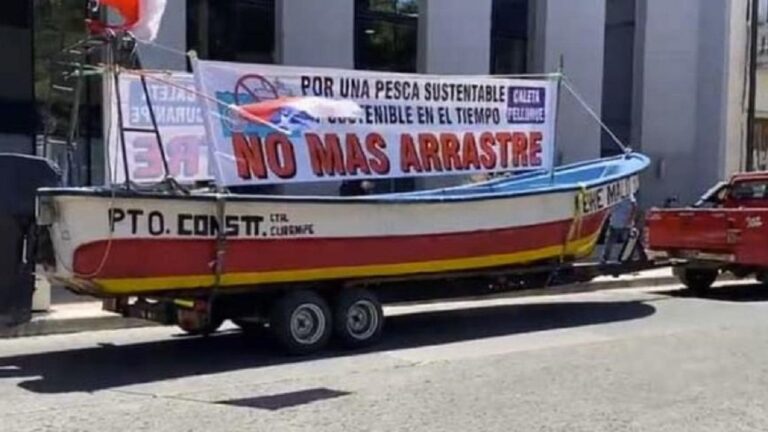 Se querellan contra pescadores artesanales del Maule por extracción ilegal de la merluza