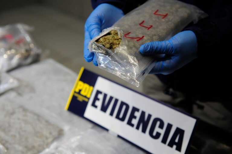 PDI detiene a sujeto que transitaba en la vía pública con dos plantas de marihuana