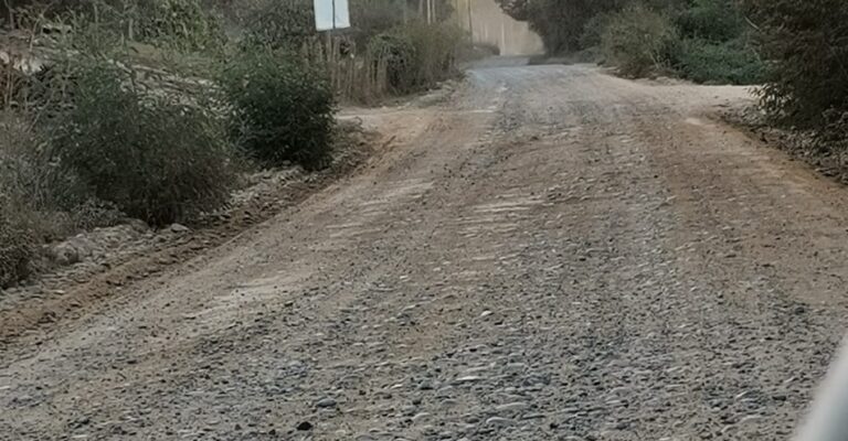 Denuncian abandono por mal estado de caminos rurales en Hualañé