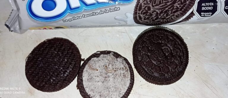Denuncian presencia de larvas en paquete de galletas comprados en un supermercado en Curicó