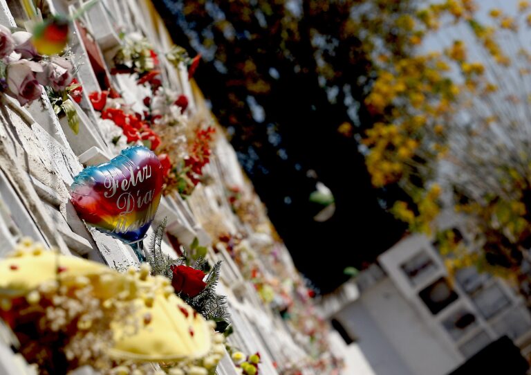 Cementerio Municipal de Curicó abrió sus puertas tras 75 días de cuarentena