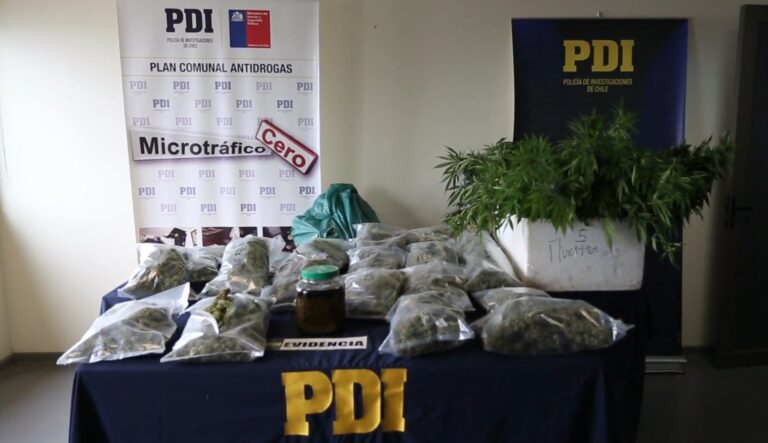 PDI detuvo a hombre con más de 11 kilos de marihuana cosechada y 51 plantas