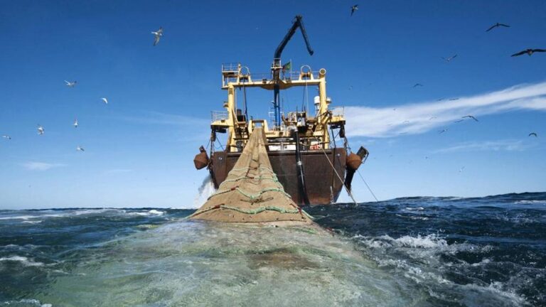 Cámara rechazó el proyecto que prohíbe la pesca de arrastre para la merluza común