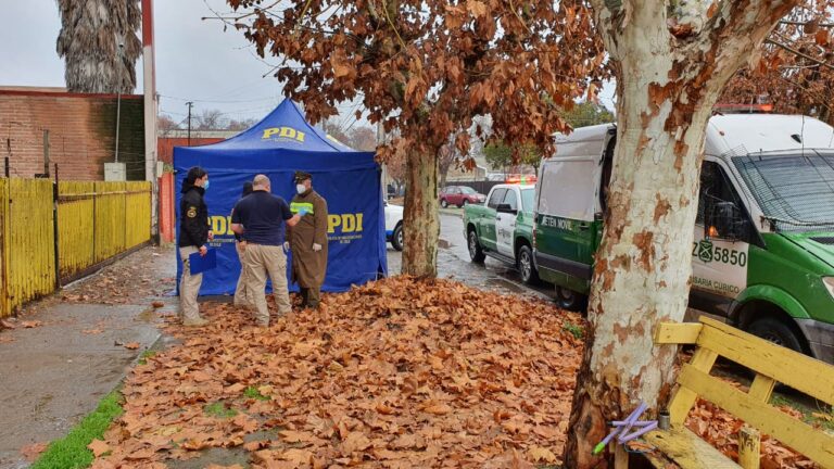 Hombre de 61 años falleció a metros de su casa en Curicó
