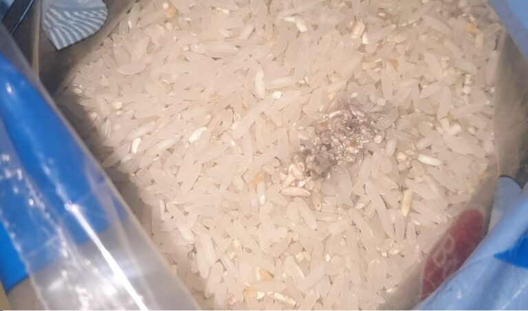 Denuncian presencia de gusanos en arroz entregado por la Junaeb en Hualañé