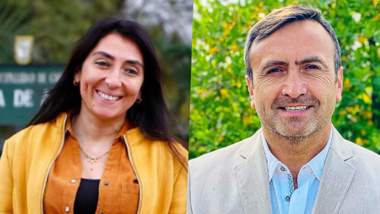 Segunda vuelta de gobernadores: Solo un 14% de los electores maulinos votaron