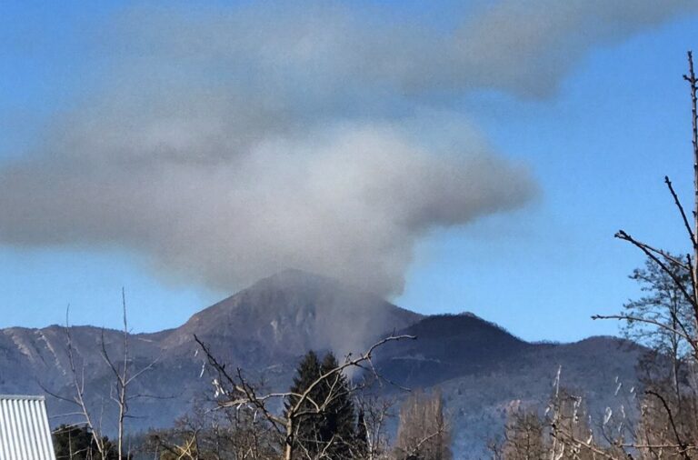 Preocupación por incendio forestal al interior de Potrero Grande