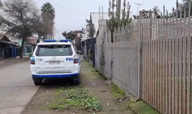 Hombre murió atacado por perros en sector Aguas Negras de Curicó