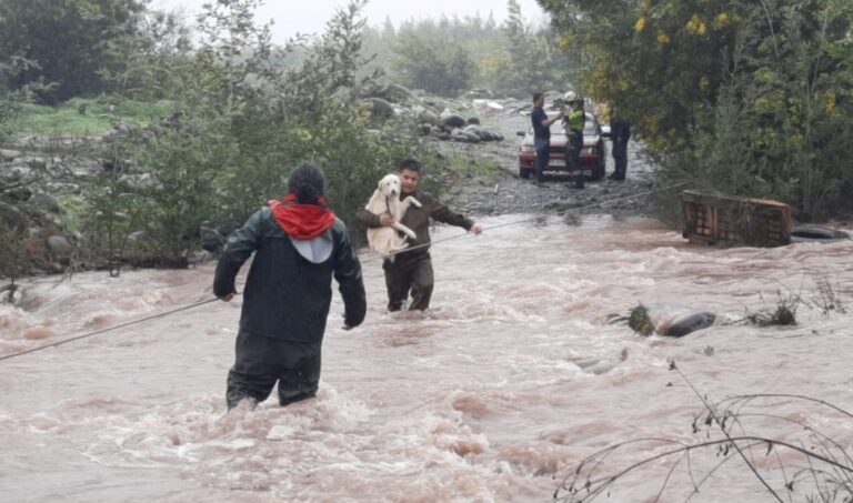 Pareja aislada por crecida de Río Lontué en Molina debió ser rescatada junto a sus mascotas